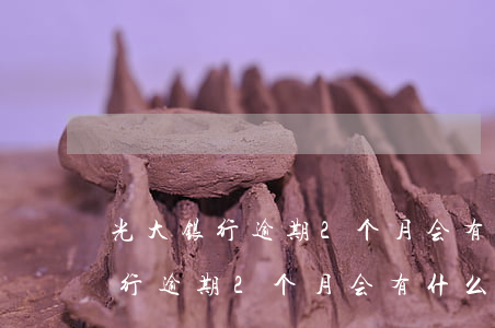 光大银行逾期2个月会有什么后果-光大银行逾期2个月会有什么后果吗