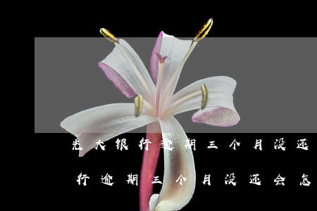 光大银行逾期三个月没还会怎么样-光大银行逾期三个月没还会怎么样吗