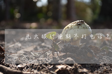 光大银行逾期不打电话怎么回事-