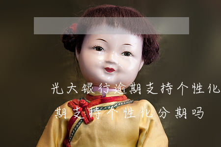 光大银行逾期支持个性化分期吗 光大银行逾期支持个性化分期吗