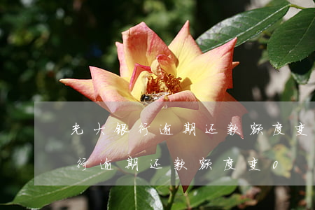 光大银行逾期还款额度变0怎么回事（光大银行逾期还款额度变0）