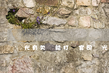光有欠條能打贏官司嗎(光有欠條能起訴嗎)