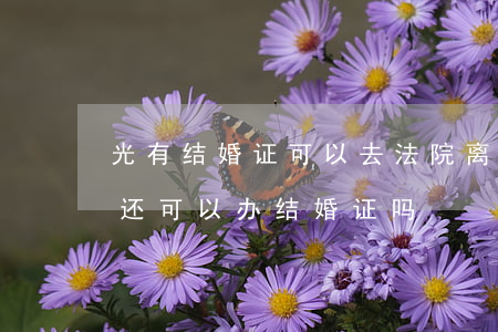 光有结婚证可以去法院离婚吗(结过婚没离婚还可以办结婚证吗)