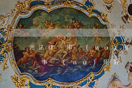 光法律師事務(wù)所怎么樣(上海光大律師事務(wù)所好嗎)
