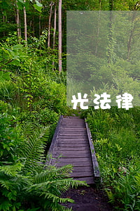 光法律師事務所怎么樣(光法律師事務所地址)