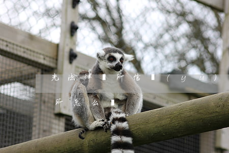 光法律師所信譽(yù)好嗎(鄭州光法律師所怎么樣)