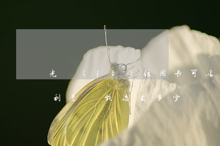 光發(fā)信用卡可以透支多少(信用卡有利息嗎,能透支多少)