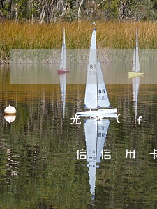 光發(fā)信用卡逾期五天(發(fā)短信信用卡逾期已立案)