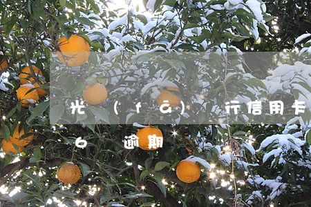 光發(fā)銀行信用卡逾期費用6(信用卡6萬逾期)