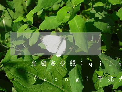 光貓多少錢(qián)一個(gè)(移動(dòng)千兆光貓多少錢(qián)一個(gè))