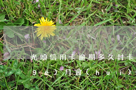 光頭信用卡逾期多久封卡(信用卡逾期一個(gè)月會(huì)不會(huì)封卡)
