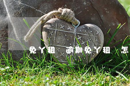 免丫租憑逾期(免丫租賃怎么歸還)