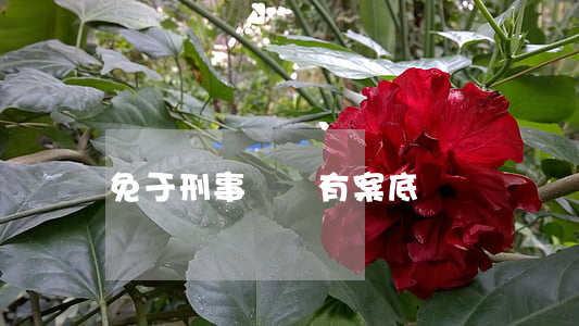 免于刑事處罰有案底嗎