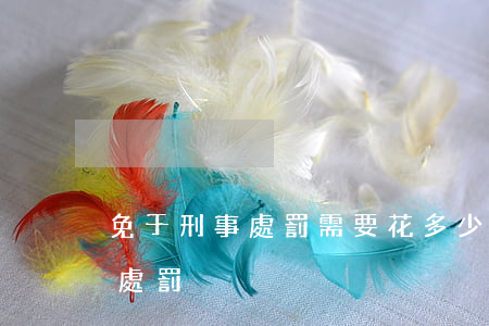 免于刑事處罰需要花多少錢(什么是免于刑事處罰?)