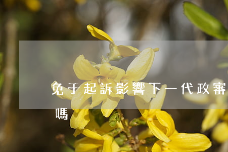 免于起訴影響下一代政審嗎(被起訴影響政審嗎)