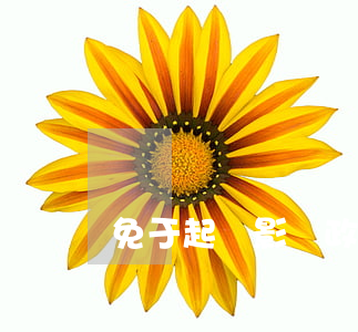 免于起訴影響政審嗎(被法院起訴影響政審嗎)