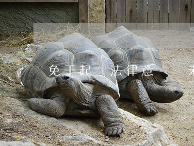 免于起訴法律意見書未成年(可以起訴未成年嗎)