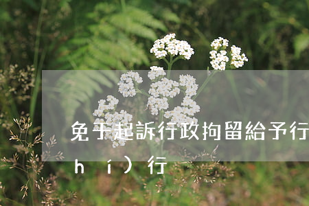 免于起訴行政拘留(給予行政拘留但不執(zhí)行)