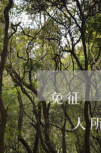 免征個稅法律法規(guī)(關于減免扣個人所得稅的要求和條件)
