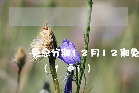 免息分期12月(12期免息免手續(xù)費(fèi))