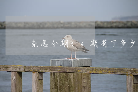 免息分期36期 省了多少钱（免息分期36期）