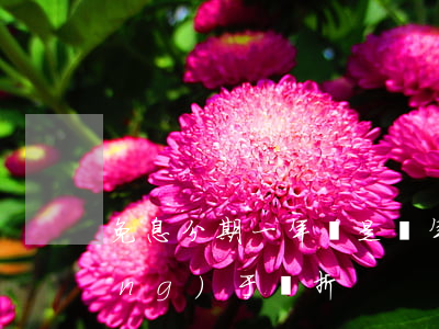 免息分期一年還是兩年(免息分期相當(dāng)于幾折)