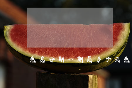 免息分期一期是多少天(免息分期相当于几折)