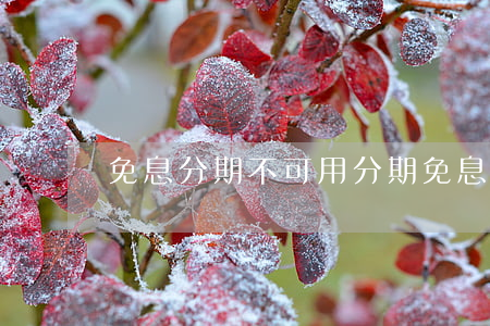免息分期不可用(分期免息可以用信用卡吗)