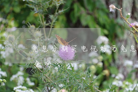 免息分期买电视好吗(免息分期买电视好吗安全吗)