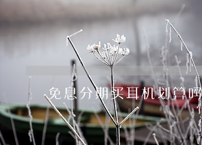 免息分期买耳机划算吗(分期付款买耳机)