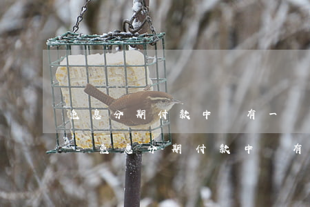 免息分期付款中間有一個(gè)月沒有錢-免息分期付款中間有一個(gè)月沒有錢怎么辦