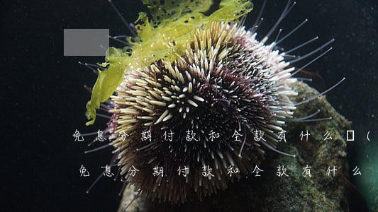 免息分期付款和全款有什么區(qū)別?-免息分期付款和全款有什么區(qū)別呢