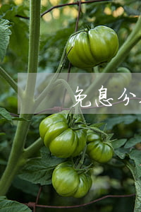 免息分期信用卡(免息分期還款的信用卡)
