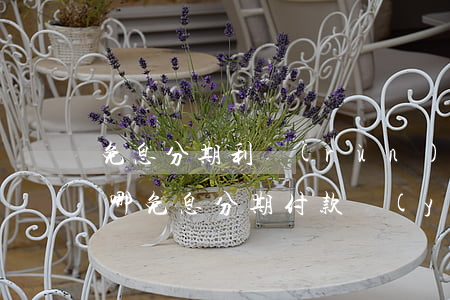免息分期利潤(rùn)點(diǎn)在哪(免息分期付款業(yè)務(wù))