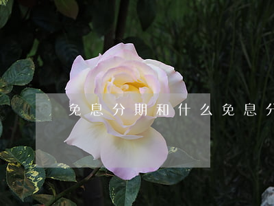 免息分期和什么(免息分期和什么)