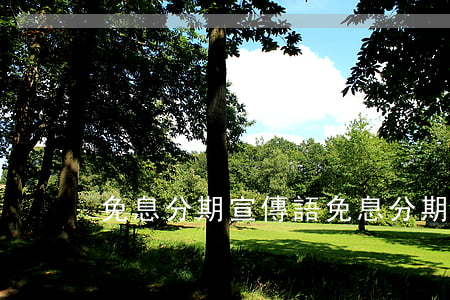免息分期宣傳語(免息分期宣傳語怎么寫)