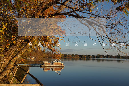 免息分期怎么這么貴(免息分期買東西好不好)