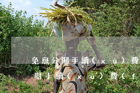 免息分期手續(xù)費(fèi)(免息分期手續(xù)費(fèi)怎么算)