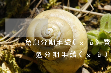 免息分期手續(xù)費(fèi)怎么算（減免分期手續(xù)費(fèi)）