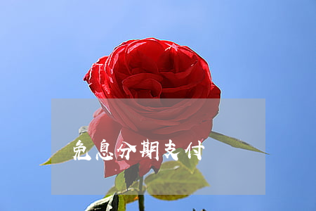 免息分期支付寶