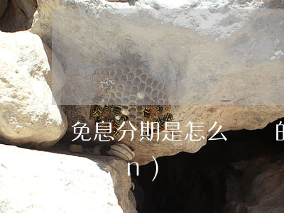 免息分期是怎么賺錢的（免息分期利潤點(diǎn)）
