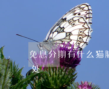 免息分期有什么猫腻(免息分期付款有什么坏处)