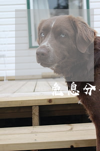 免息分期的商店（免息分期的商店）