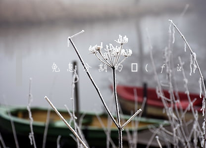 免息分期的復(fù)利(免息分期的收益)