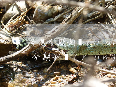 免息分期相當(dāng)于什么折扣（免息分期利潤(rùn)怎么算）