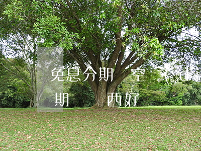 免息分期買空調(diào)劃算么 免息分期買東西好嗎