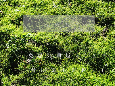 免息分期越長(zhǎng)越好嗎-免息分期是不是越長(zhǎng)越好
