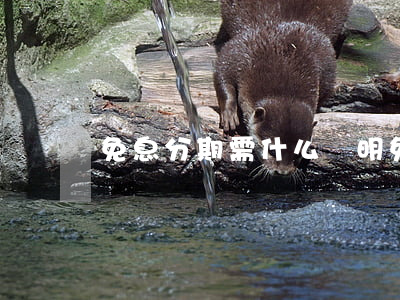 免息分期需什么證明（免息分期需什么證明）