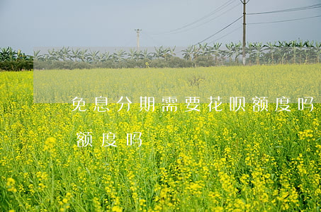 免息分期需要花呗额度吗(免息分期需要花呗额度吗)