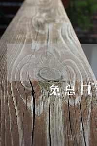 免息日過了分期(免息期過后利息多少)